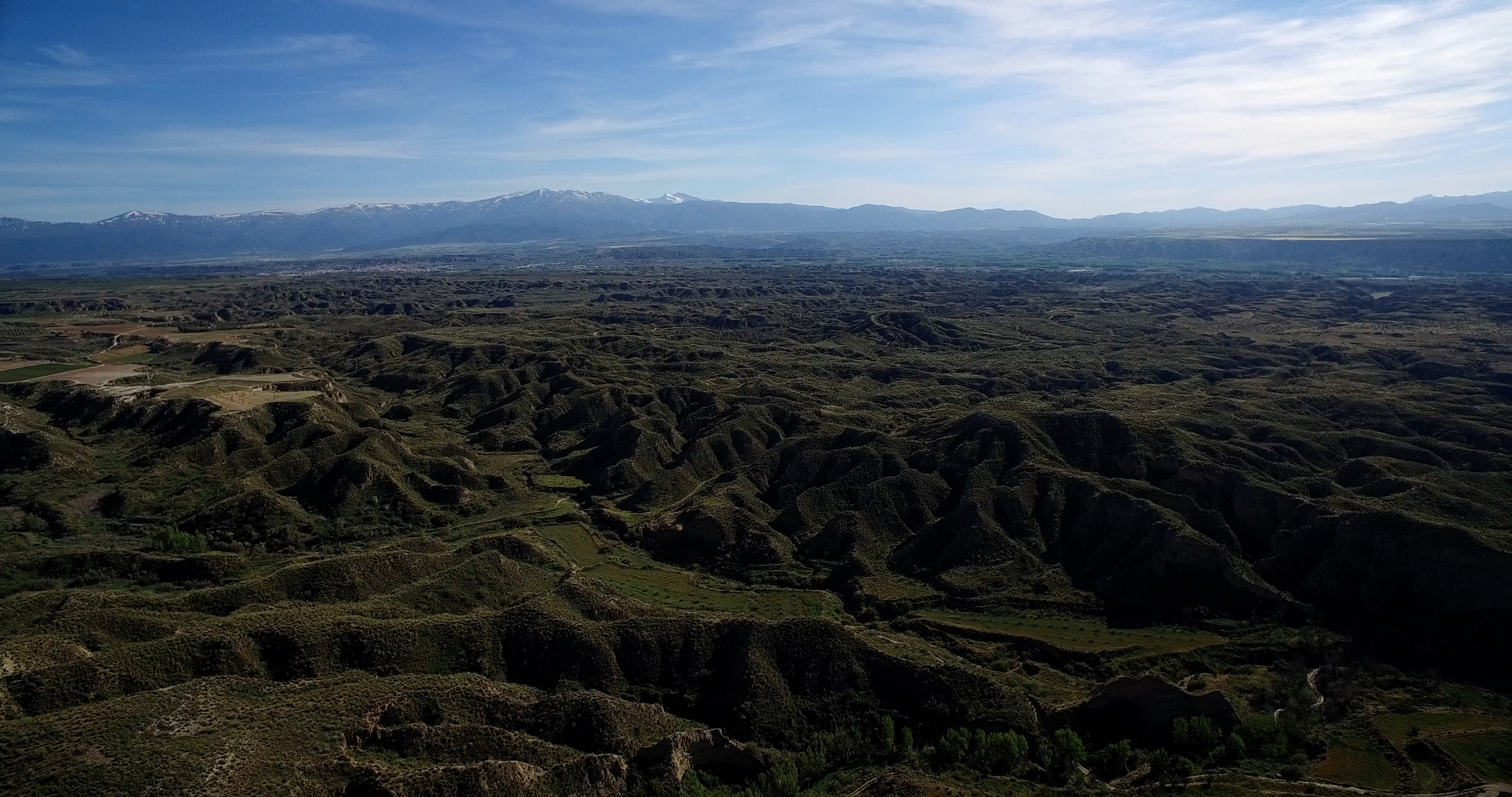 Descripción de la imagen